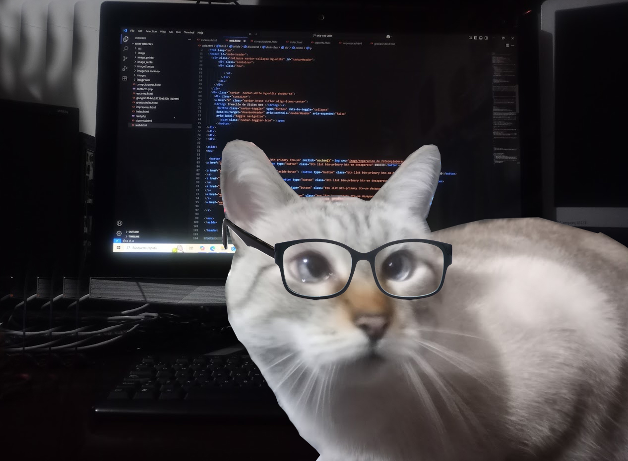 diseñamos tu sitio web